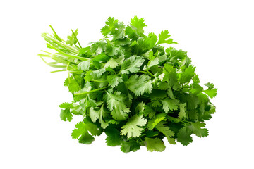 Obraz premium A vibrant bunch of cilantro with lush green leaves isolated on a white transparent background. Perfect for salads, various cooking methods, and healthy, nutritious dishes
