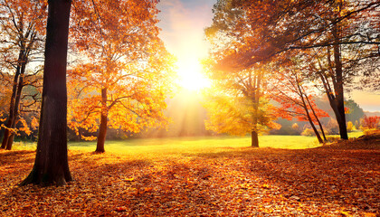 Fototapeta premium Herbstlandschaft 