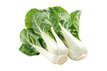 Fresh green bok choy vegetables cabbage isolated on a white background.