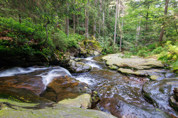 Rieslochbach und Rieslochfälle im Frühsommer bei Bodenmais am Arber im Bayerischen Wald