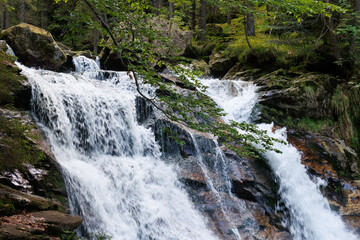 Rieslochbach und Rieslochfälle im Frühsommer bei Bodenmais am Arber im Bayerischen Wald