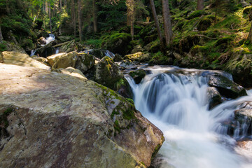 Rieslochbach und Rieslochfälle im Frühsommer bei Bodenmais am Arber im Bayerischen Wald