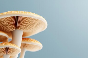 Discovery of microscopic fungi, detailed structures, illustration