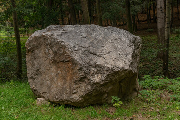 A large rock in the middle of the forest in a zoo in Slovakia