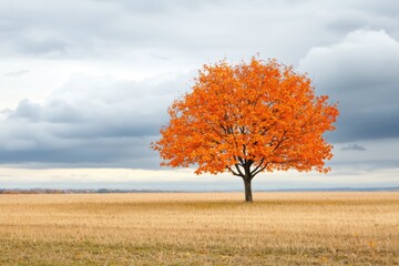 Solitary Tree with Vibrant Orange Leaves in a Golden Field Under Cloudy Autumn Sky