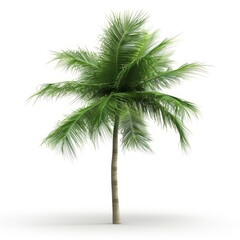 Naklejka premium a 3D coconut tree with wind-blown leaves, dynamic pose, green fronds, isolated on white background