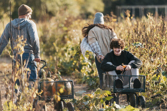 Pumpkin Patch 