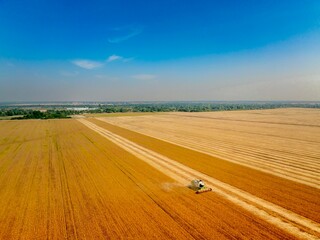 Obraz premium landscape with field of soybeans