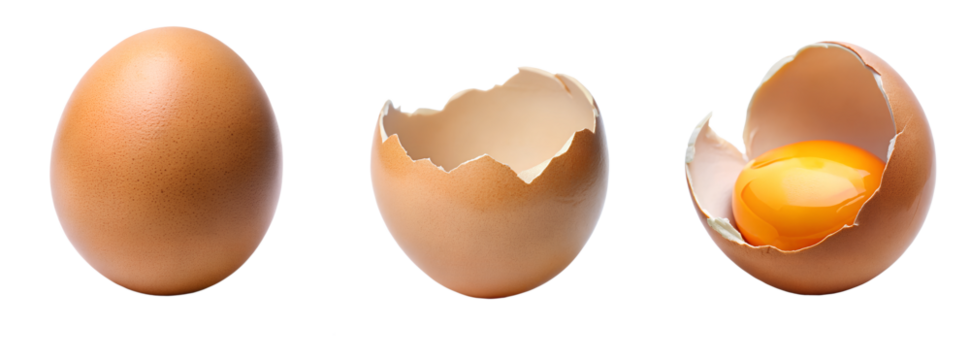 Full, cracked open egg with yolk, egg shell. Cut out isolated PNG