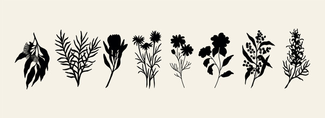 Flat vector Australian native flowers and plants collection © Maria
