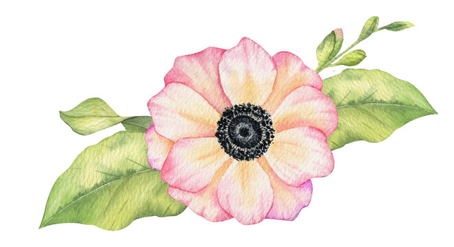 watercolor pink flower with green leaves clip art preview