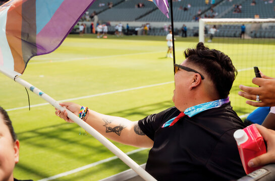 Sports Fan Waves Flag at Game 