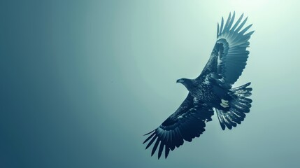 An eagle soaring majestically in the sky. Freedom concept
