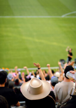 Cheering Crowd at Stadium 