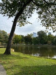 lake in the park