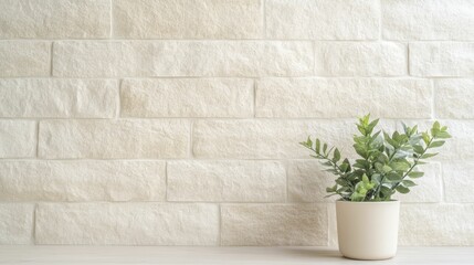 Textured stone walls enhance your living space by incorporating natural elements while infusing depth and personality into your home environment.