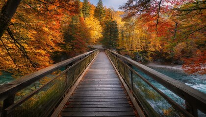 Puente sobre un r&iacute;o que cruza un bosque oto&ntilde;al