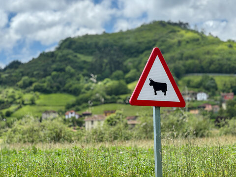 Naklejki "Cow" road sign
