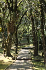 path in the park