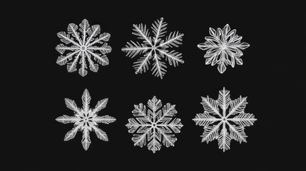 Delicate white snowflakes on a black background showcasing unique icy designs that capture winter's enchanting beauty