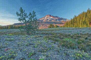 Wickiup Plains in the Three Sisters Wilderness © Ramsey Samara