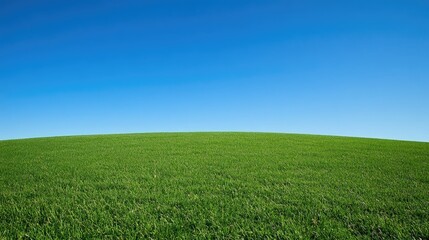 Obraz premium Lush green meadow under clear blue sky 