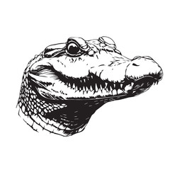 crocodile in cartoon, doodle style . Image for t-shirt, web, mobile apps and ui. Isolated 2d vector illustration in logo, icon, sketch style, Eps 10, black and white. AI Generative