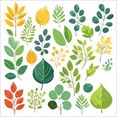 Botanical Element Pattern