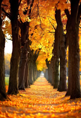 Autumn trees in a row