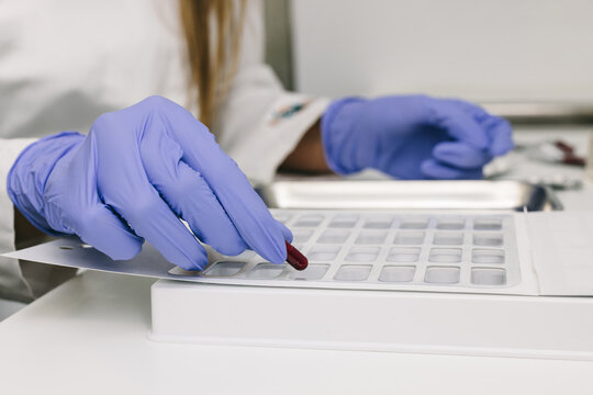Pharmacist filling blister packs with pills for medication management