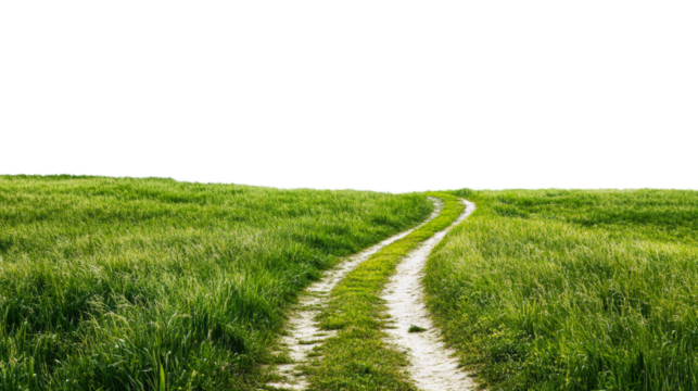 Winding dirt path through lush green grass in a serene landscape isolated on transparent background
