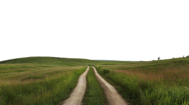Winding dirt road through green fields under a clear sky isolated on transparent background