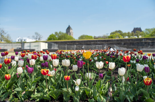 Quebec City Parliament hill garden