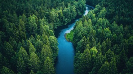 Fototapeta premium Aerial view of a winding river through a forest