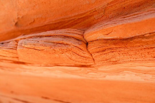 Paria Canyon-Vermilion Cliffs Wilderness