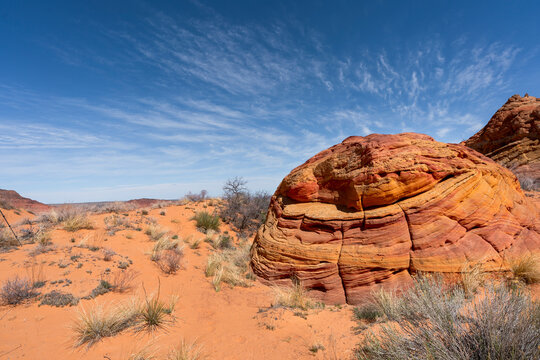 Paria Canyon-Vermilion Cliffs Wilderness