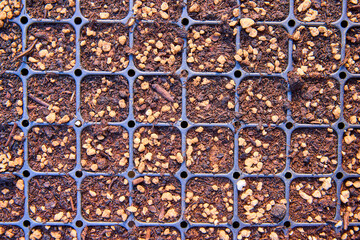 Seedling Tray with Well-Nourished Soil Overhead View
