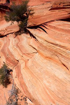 Paria Canyon-Vermilion Cliffs Wilderness