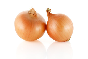 Onions isolated on white background. Close-up