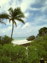 Fototapeta premium Mexico, tulum, ruins, lush, tropical, cenote, water, lake