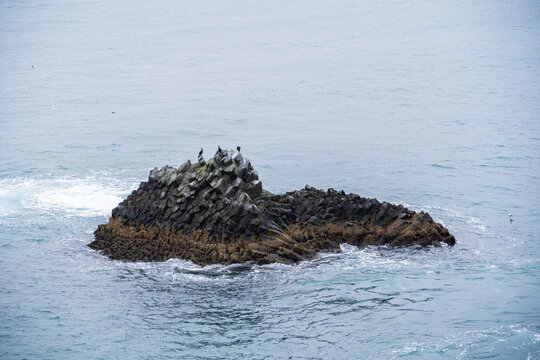 Cormorants On A Rock At Arnastapi, Iceland  