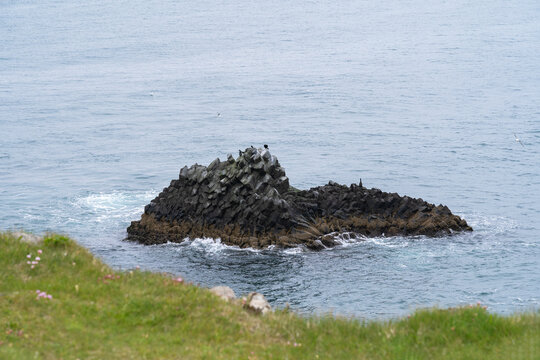 View Of Cormorants On A Rock From Arnastapi Cliffs, Iceland  