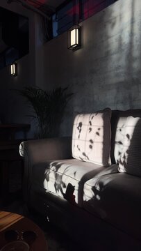 Light through the window and shade of a plant on a couch