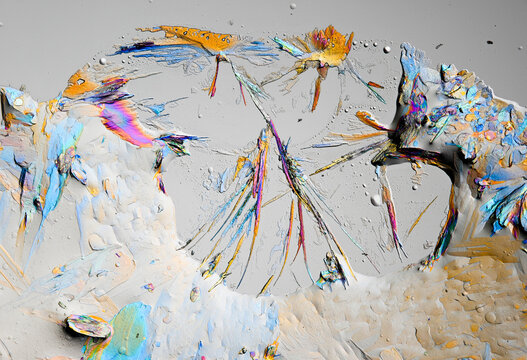 micograph of Ibuprofen suspension crystals 