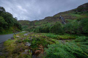 A serene natural landscape featuring a grassy area with lush vegetation, trees, and majestic mountains in the background. This scenic view captures the beauty of a peaceful outdoor setting, perfect fo