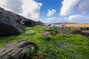 Scenic, Rocky Beach, Water, nature, coastal, oceanic landforms, cliff, sea, shore, mountain, grass, plants, rocks, rock, landscape, sky, beach, coast, water, stone, travel, ocean, clouds, cloud, summe