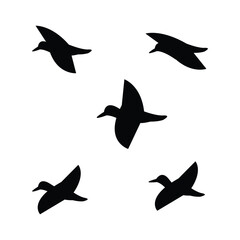 Unicque  bird  vector  desigen 275