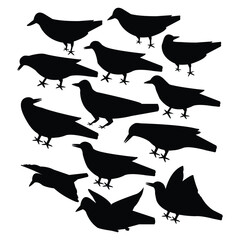 Fototapeta premium Unicque cow bird vector desigen 276