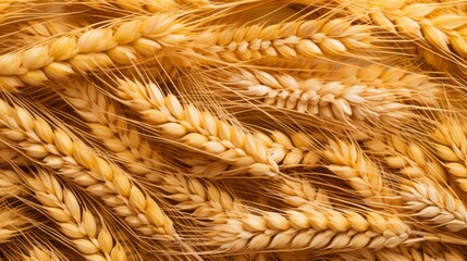 Ripe wheat ears background pattern. Neural network ai generated art