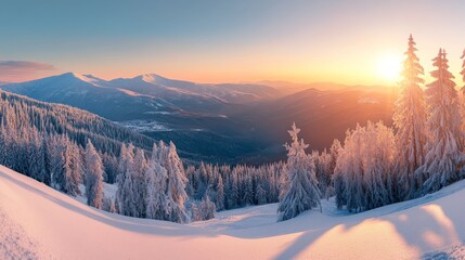 Winter panorama of sunny Carpathian mountains (Ukraine).